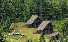 Cottages Shepit Lisu